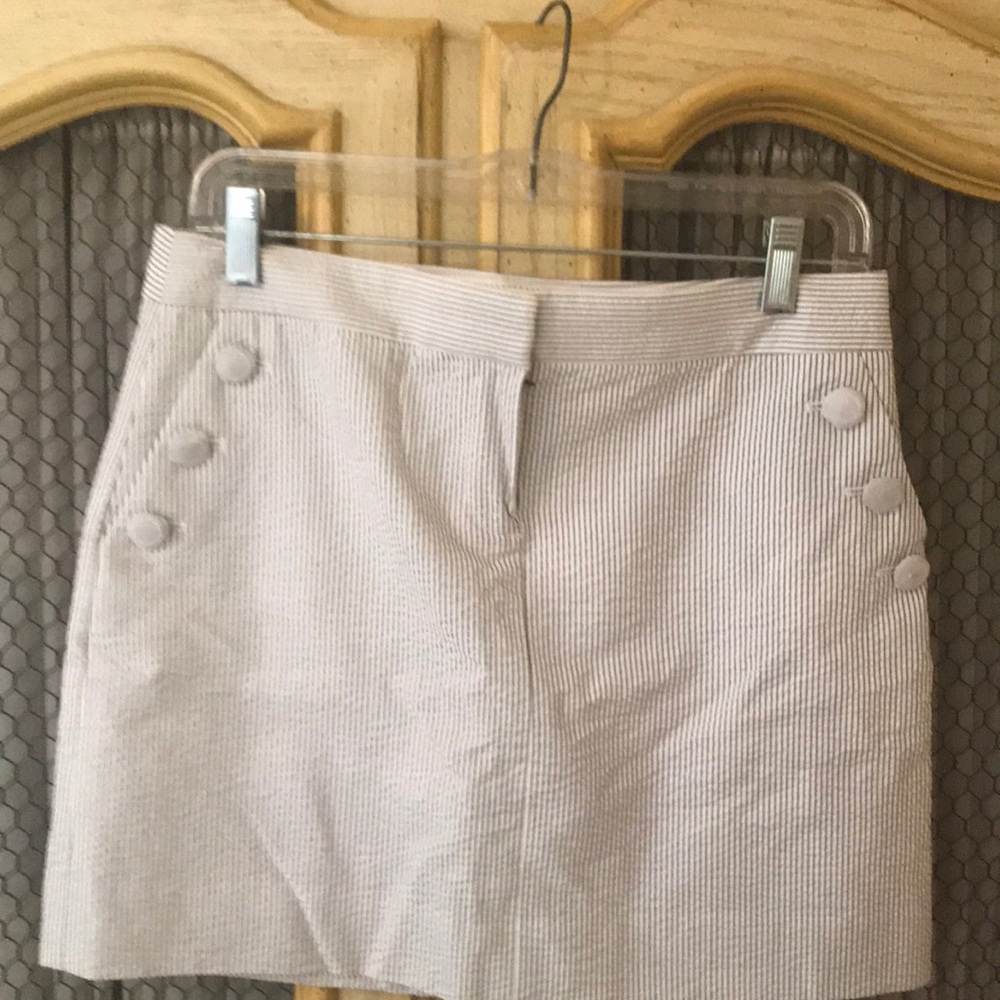 J Crew skirt